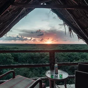hidden-treehouse-tulum-eco-hotel-party.tulum-hotels.net/